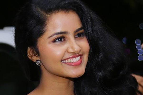 Sharwanand to romance Mallu beauty Anupama Parameshwaran