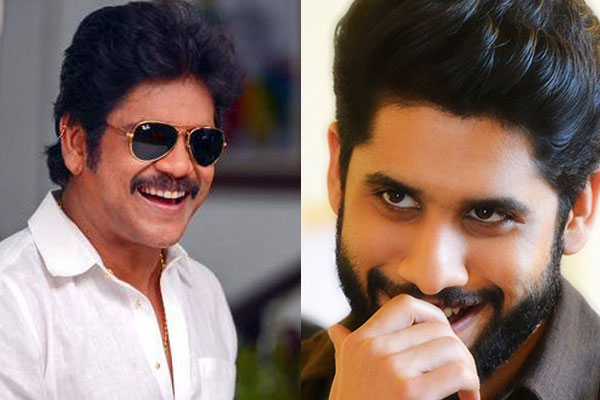 Nagarjuna shoots for his cameo in Naga Chatanya's Premam