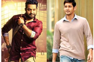 Million dollar films : NTR hits a four, Mahesh leads with a six