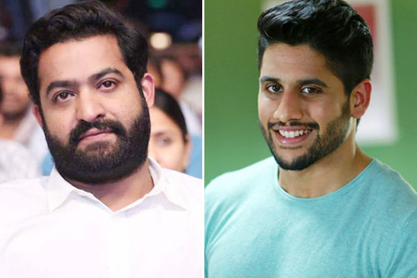 NTR and Naga CHaitanya for Savithri