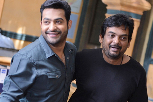 ntr puri 3rd movie, puri direct ntr again, NTR - Puri Jagannadh film to flag off soon