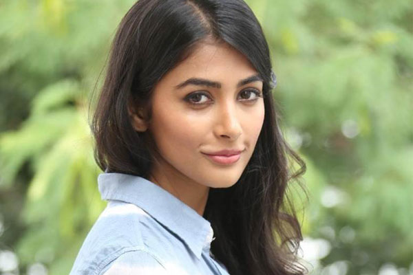 Pooja Hegde confirmed for Allu Arjun's next, heroine confirmed for Allu Arjun's, Pooja Hegde for Duvvada Jagannadham