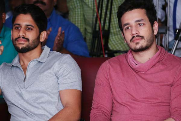 Akhil's second film direct Vikram Kumar, Kalyan Krishna direct Naga Chaitanya