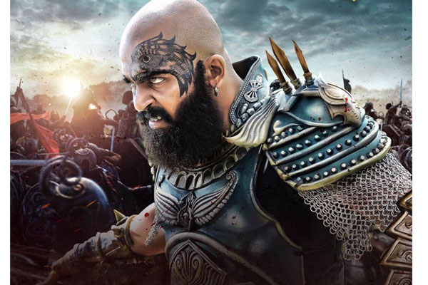 Kaashmora USA Canada Collections