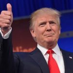 Donald Trump Times person 2016