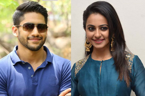 Chaitu, Rakul shoot in Vizag