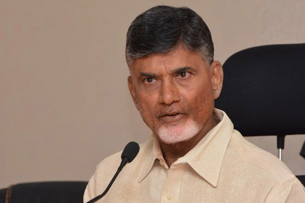 Chandrababu takes pot-shots at YSRCP, Andhra Pradesh, CRDA, Naravaripalli, Pawan Kalyan,