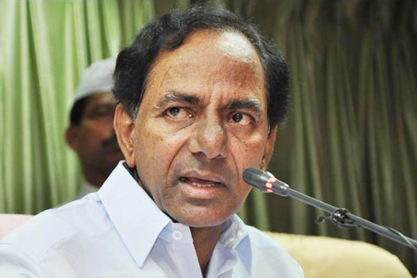 KCR, Telangana a major exporter of Sheep meat, TRS, Talasani Srinivas Yadav