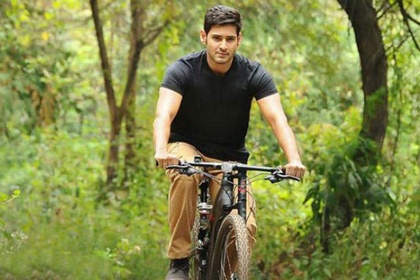 Srimanthudu Story Controversy