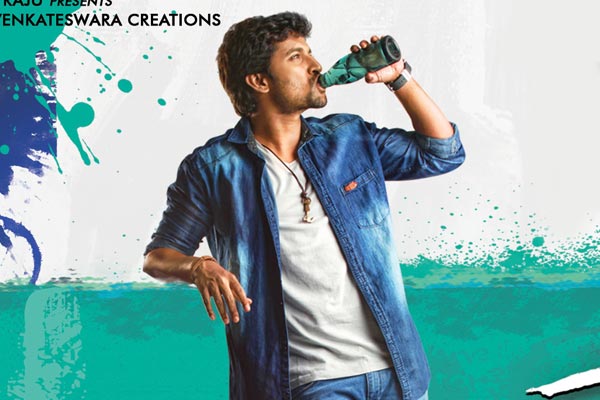 Nenu Local 10 days WW Collections