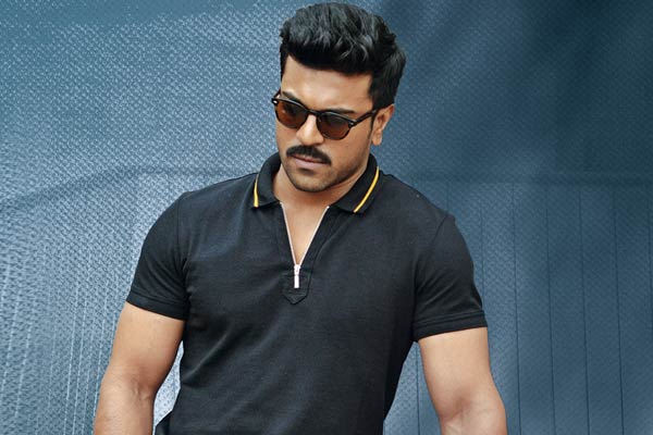 Charan's Dhruva Overseas Profit Loss Statement