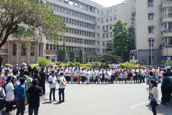 Doctors Strike, Save The Doctor, Maharashtra, The Bombay high court slammed the doctorsDoctors Strike, Save The Doctor, Maharashtra, The Bombay high court slammed the doctors