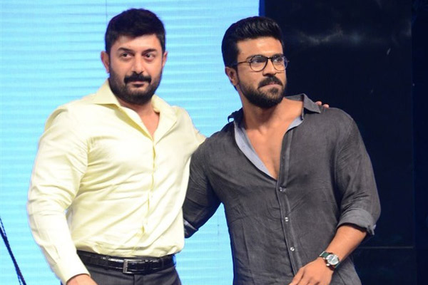 Ram Charan, Arvind Swami likely to reunite, Ram Charan, Arvind Swami in Mani Ratnam's next movie