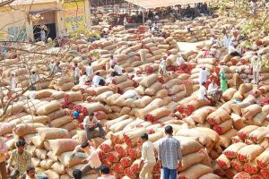 Chilli crisis: Destruction of Khammam Market yard a political conspiracy
