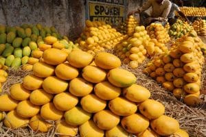 Andhra Pradesh’s Banganapalle Mango Gets Geographical Indication Registration