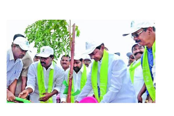 KCR launches Haritha Haram III in Karimnagar