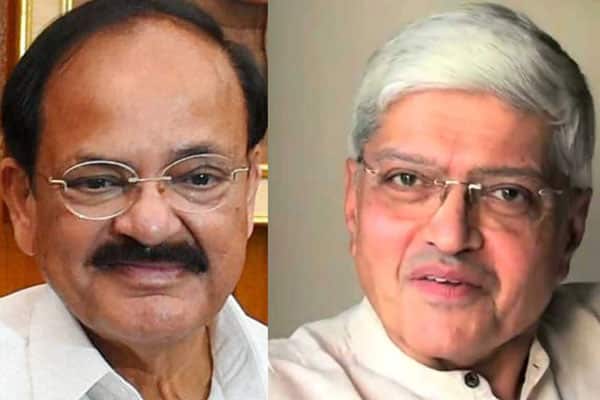 Venkaiah vs Gandhi for Vice President