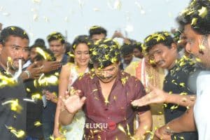 Jaya Janaki Nayaka Vijayotsava Veduka