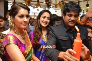 South India Shopping Mall Launch at Madinaguda