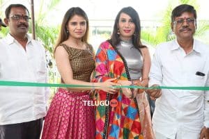 Pochampally IKAT Art Mela Launch