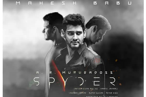 SPYder-collections