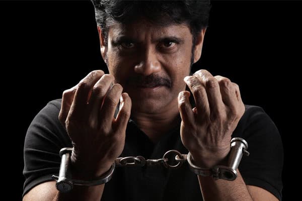 Nagarjuna - RGV film will have no Songs