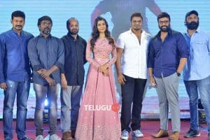 Okkadu Migiladu Pre Release Function