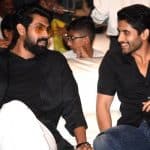 Rana Daggubati & Naga Chaitanya in Venkatesh Teja film