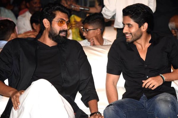 Rana Daggubati & Naga Chaitanya in Venkatesh Teja film