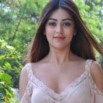 Heroine Anu Emmanuel in much demand
