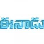 Indian readership survey: Eenadu finds place in top 10, retains top slot among Telugu dailies.