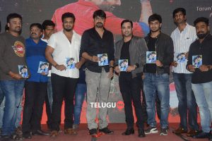 Idi Naa Love Story Pre release Event