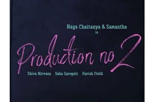 Official Now: Chaitu and Samantha to join hands