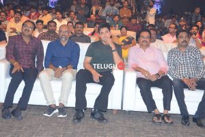 Bharat Ane Nenu Success Meet Set 1