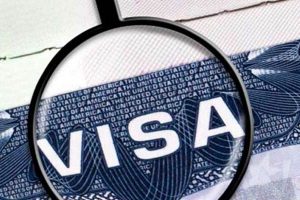 More H-1B visas going to US technology companies: Report