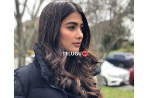 Pooja Hegde continues to surprise