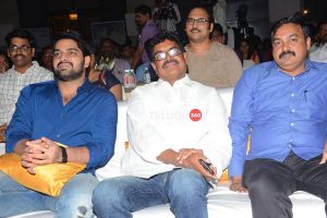 Ammammagarillu Pre Release Event Set 1