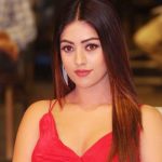 Anu Emmanuel approached to play a cameo in Vijay Devarakonda's next