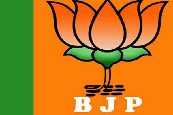 Is BJP strength in the country over-hyped?