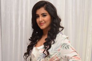 Malvika Sharma at Nela Ticket Press Meet