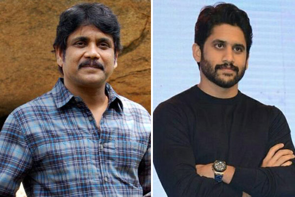 Puri Jagannadh casting coup Nagarjuna & Naga Chaitanya together