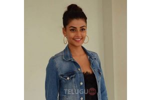 Anisha Ambrose at Ee Nagaraniki Emaindhi press meet