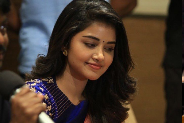 Anupama to romance Kannada Superstar Puneet Rajkumar