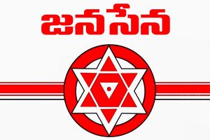 Jana Sena sensational comment on Budget