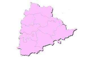 Telangana celebrates formation day with gaiety