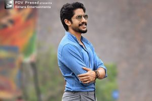 Shailaja Reddy Alludu Gets Highest Rates For Naga Chaitanya