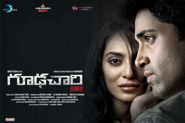 'Goodachari' Overseas Profit Loss Statement