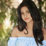 Nabha Natesh in Ravi Teja's Next