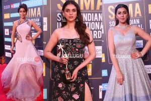 Celebs at SIIMA 2018 Day1