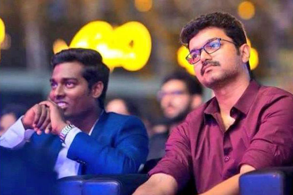 Vijay-Atlee team up for hattrick movie